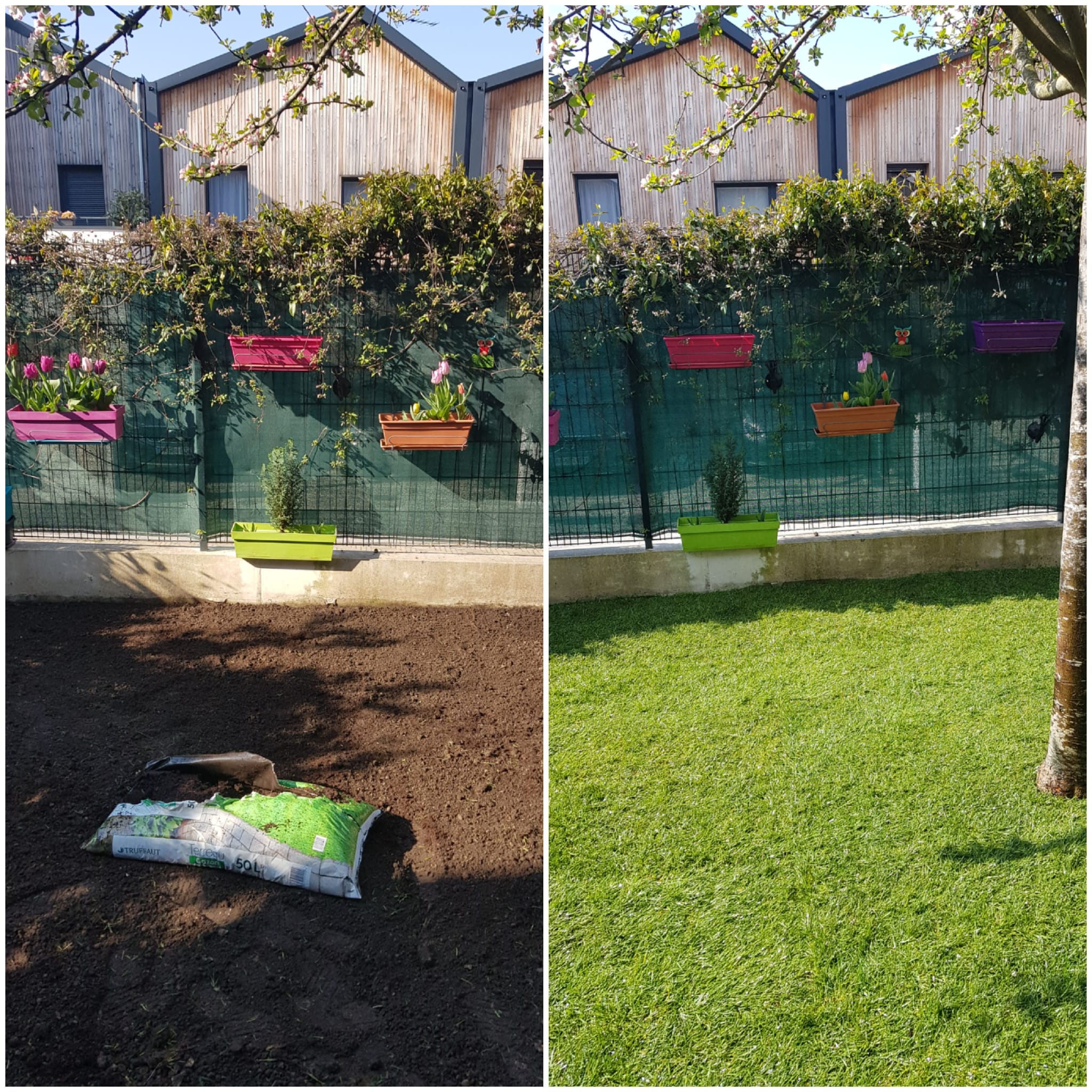 Magnifique réalisation de notre jardinier du 95