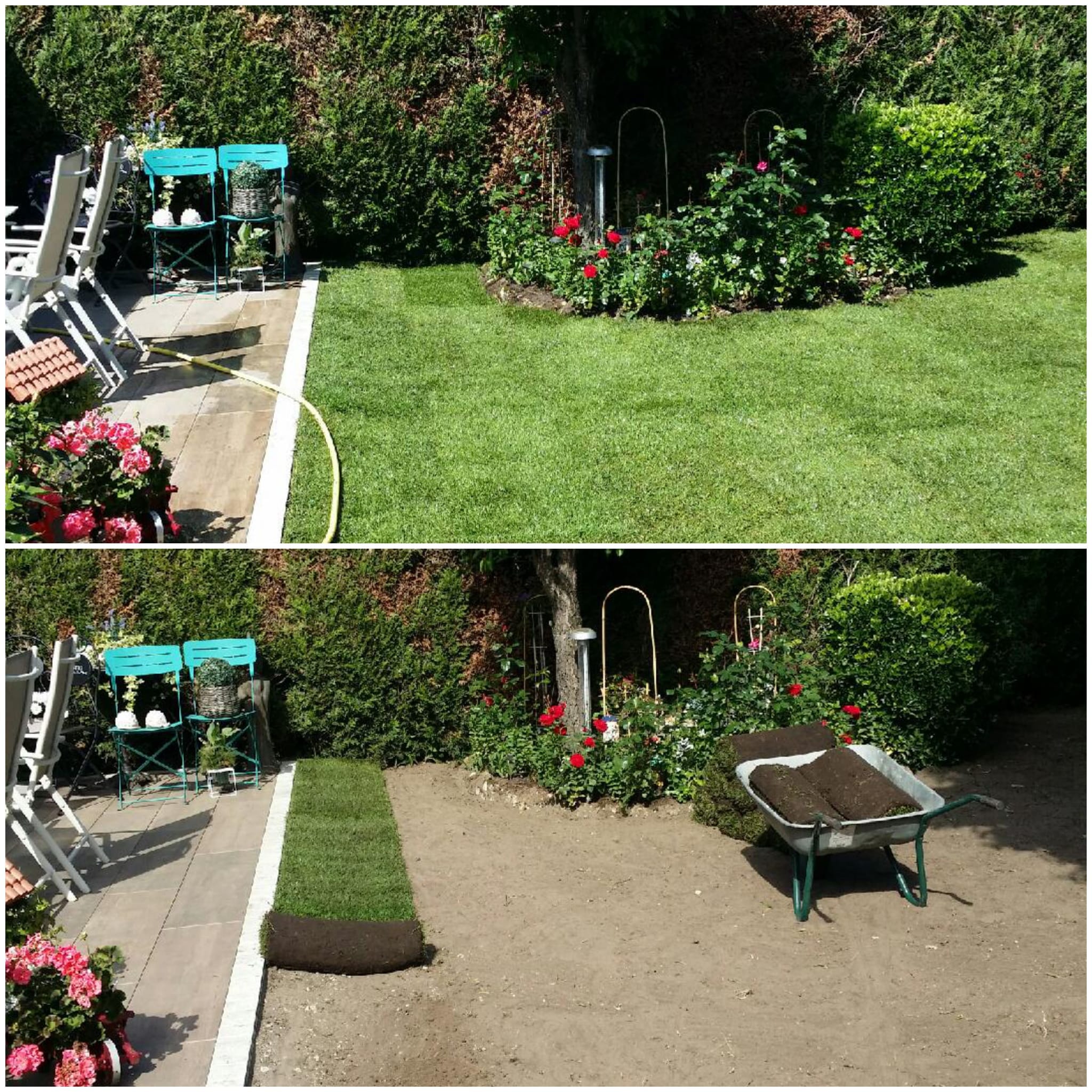 Pose de gazon de notre paysagiste 95