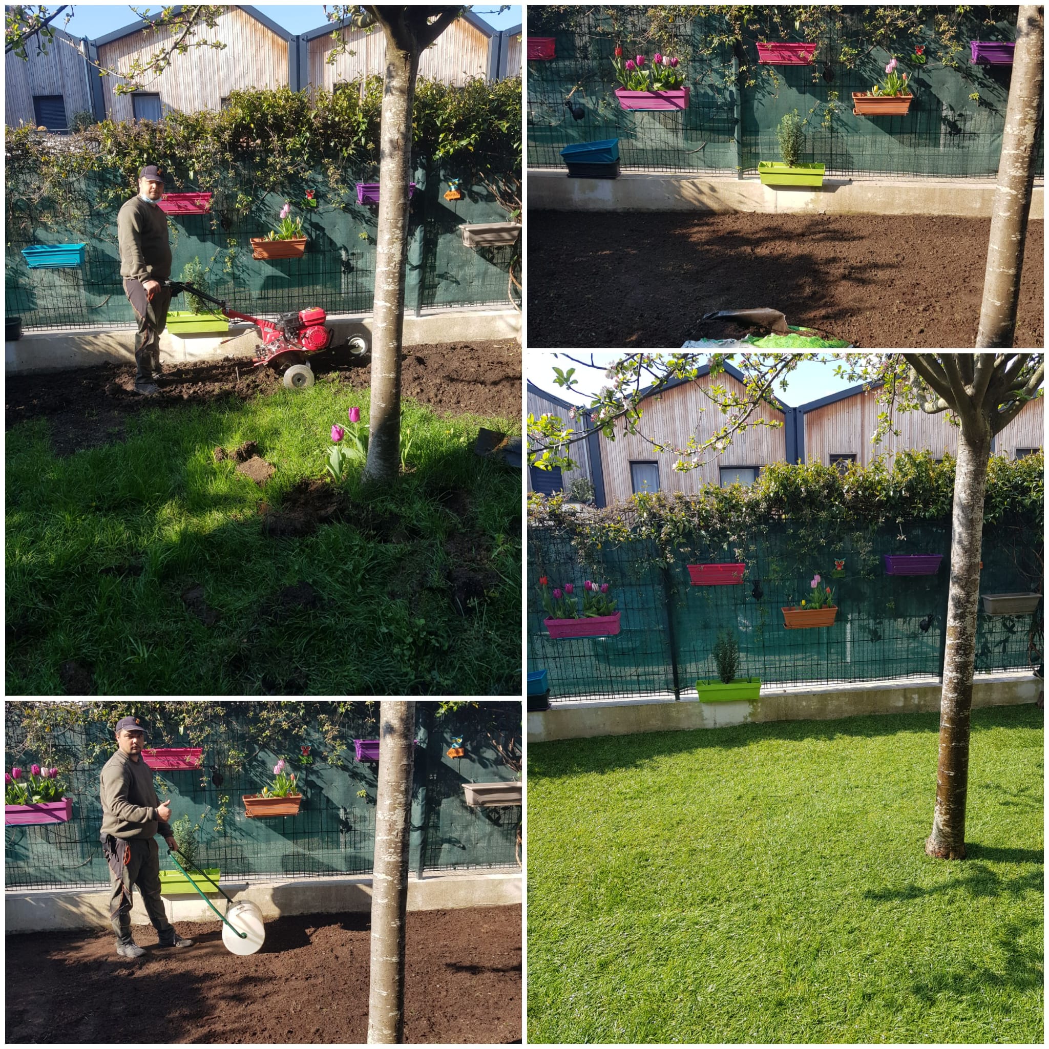 Réalisation de notre jardinier taverny